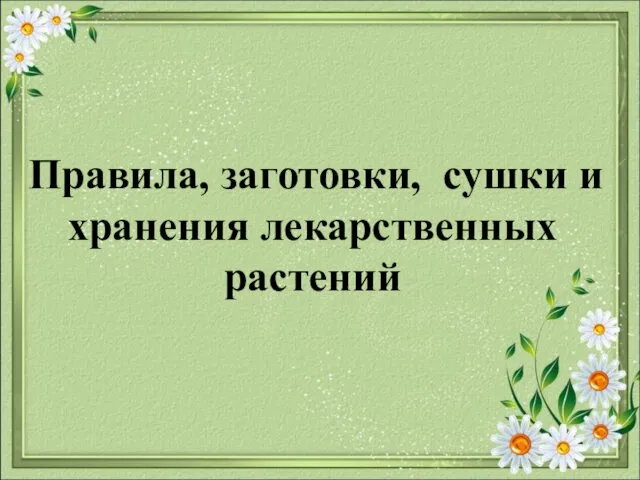 Правила, заготовки, сушки и хранения лекарственных растений