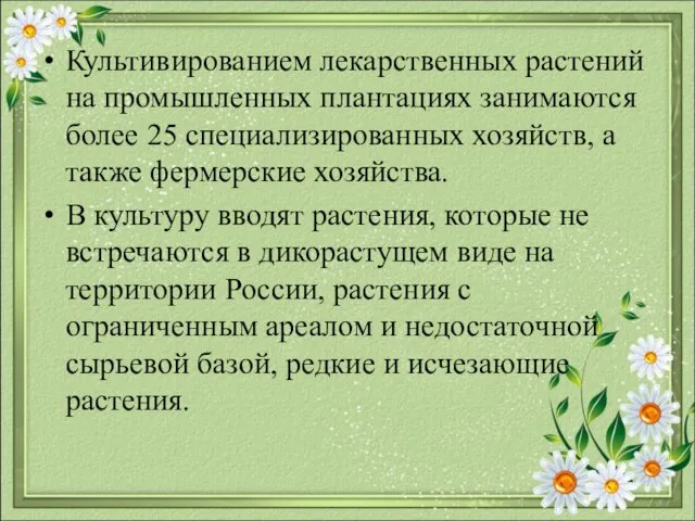 Культивированием лекарственных растений на промышленных плантациях занимаются более 25 специализированных