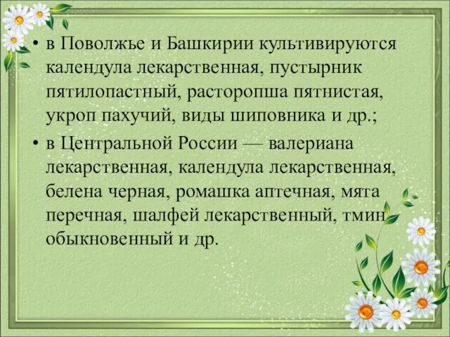 в Поволжье и Башкирии культивируются календула лекарственная, пустырник пятилопастный, расторопша