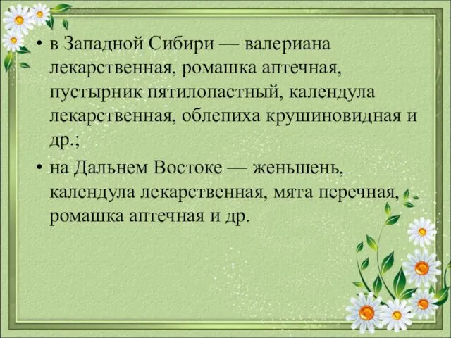 в Западной Сибири — валериана лекарственная, ромашка аптечная, пустырник пятилопастный,