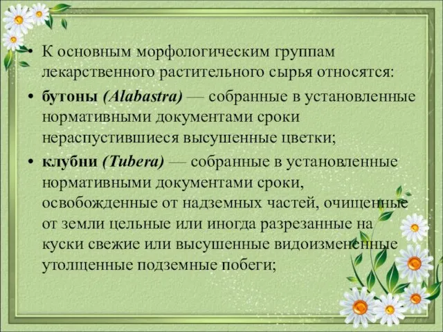 К основным морфологическим группам лекарственного растительного сырья относятся: бутоны (Alabastra)