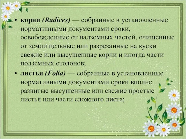 корни (Radices) — собранные в установленные нормативными документами сроки, освобожденные