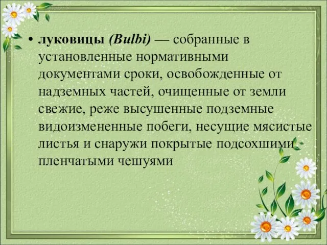 луковицы (Bulbi) — собранные в установленные нормативными документами сроки, освобожденные