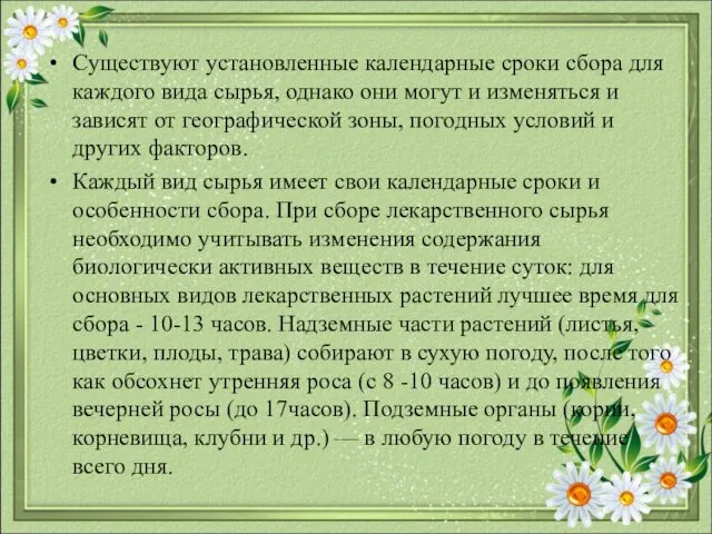 Существуют установленные календарные сроки сбора для каждого вида сырья, однако