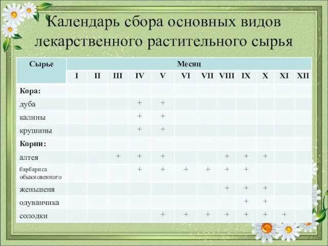 Календарь сбора основных видов лекарственного растительного сырья