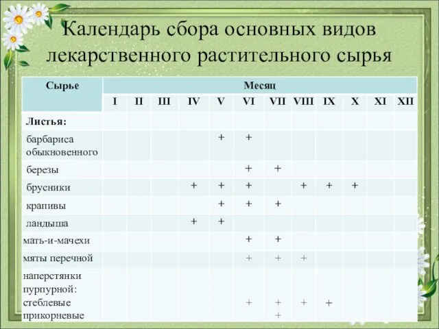 Календарь сбора основных видов лекарственного растительного сырья