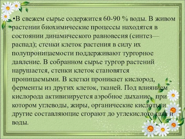 В свежем сырье содержится 60-90 % воды. В живом растении