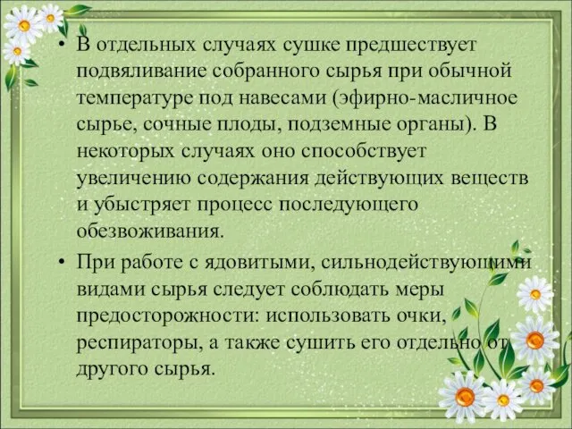 В отдельных случаях сушке предшествует подвяливание собранного сырья при обычной