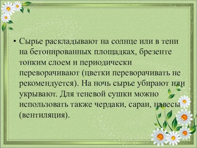 Сырье раскладывают на солнце или в тени на бетонированных площадках,