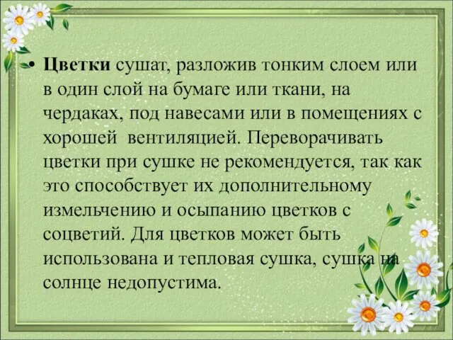 Цветки сушат, разложив тонким слоем или в один слой на