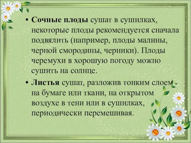 Сочные плоды сушат в сушилках, некоторые плоды рекомендуется сначала подвялить