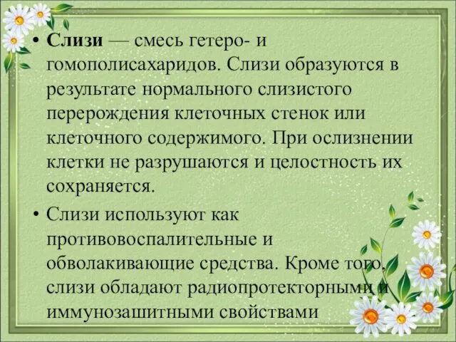 Слизи — смесь гетеро- и гомополисахаридов. Слизи образуются в результате