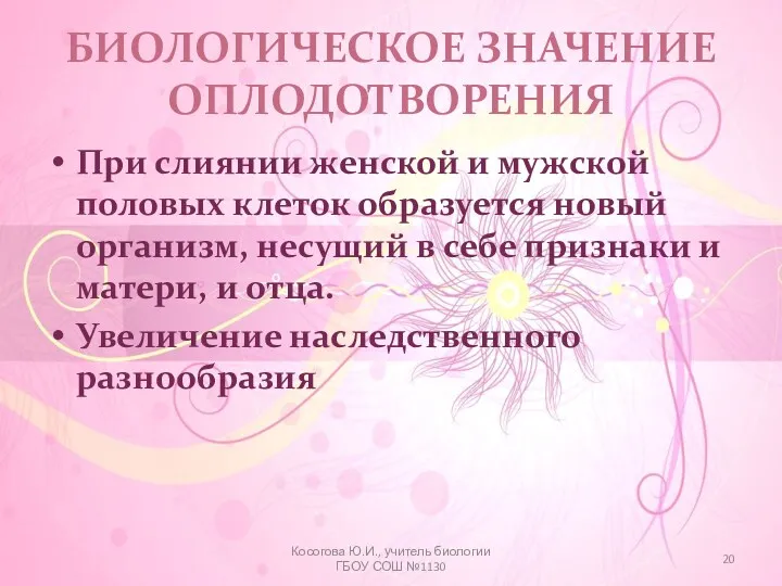 БИОЛОГИЧЕСКОЕ ЗНАЧЕНИЕ ОПЛОДОТВОРЕНИЯ При слиянии женской и мужской половых клеток