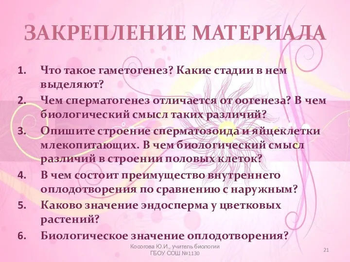 ЗАКРЕПЛЕНИЕ МАТЕРИАЛА Что такое гаметогенез? Какие стадии в нем выделяют?