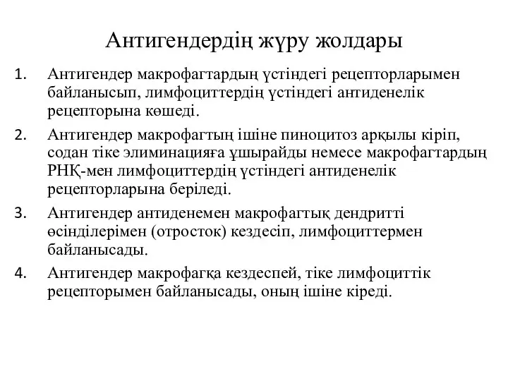 Антигендердің жүру жолдары Антигендер макрофагтардың үстіндегі рецепторларымен байла­нысып, лимфоциттердің үстіндегі