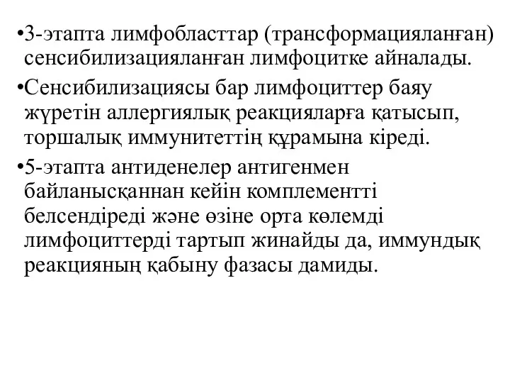 3-этапта лимфобласттар (трансформацияланған) сенсибилизация­ланған лимфоцитке айналады. Сенсибилизациясы бар лимфоциттер баяу