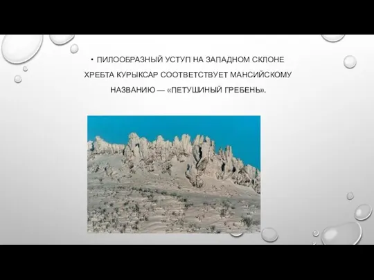 ПИЛООБРАЗНЫЙ УСТУП НА ЗАПАДНОМ СКЛОНЕ ХРЕБТА КУРЫКСАР СООТВЕТСТВУЕТ МАНСИЙСКОМУ НАЗВАНИЮ — «ПЕТУШИНЫЙ ГРЕБЕНЬ».