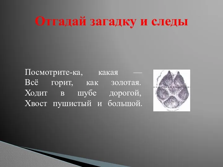 Отгадай загадку и следы Посмотрите-ка, какая — Всё горит, как