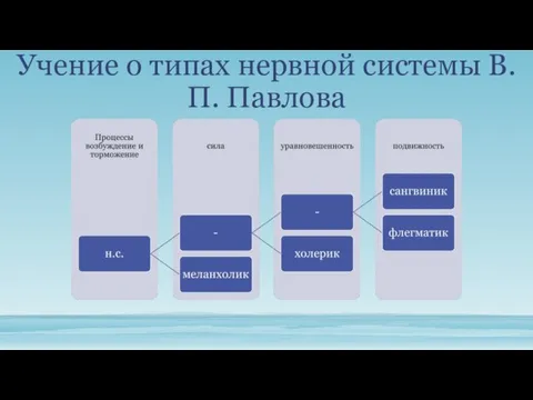 Учение о типах нервной системы В.П. Павлова