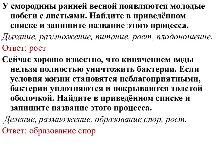 У смородины ранней весной появляются молодые побеги с листьями. Найдите