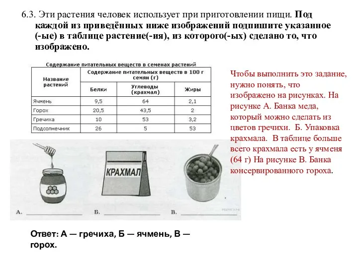 6.3. Эти растения человек использует при приготовлении пищи. Под каждой