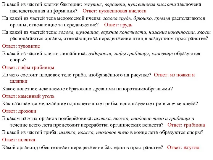 В какой из частей клетки бактерии: жгутик, ворсинки, нуклеиновая кислота