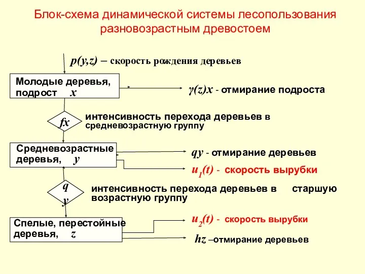 Блок-схема динамической системы лесопользования разновозрастным древостоем Средневозрастные деревья, y Спелые,