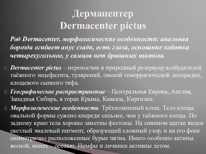 Dermacenter pictus – переносчик и природный резервуар возбудителей таёжного энцефалита,