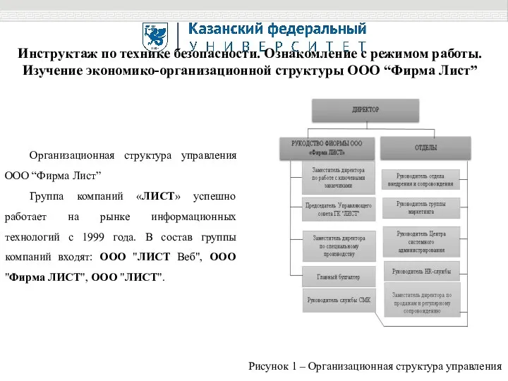 Инструктаж по технике безопасности. Ознакомление с режимом работы. Изучение экономико-организационной