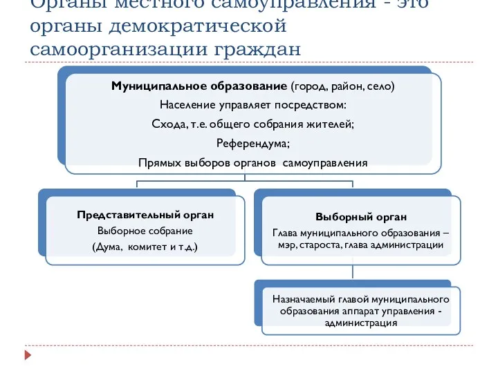 Органы местного самоуправления - это органы демократической самоорганизации граждан