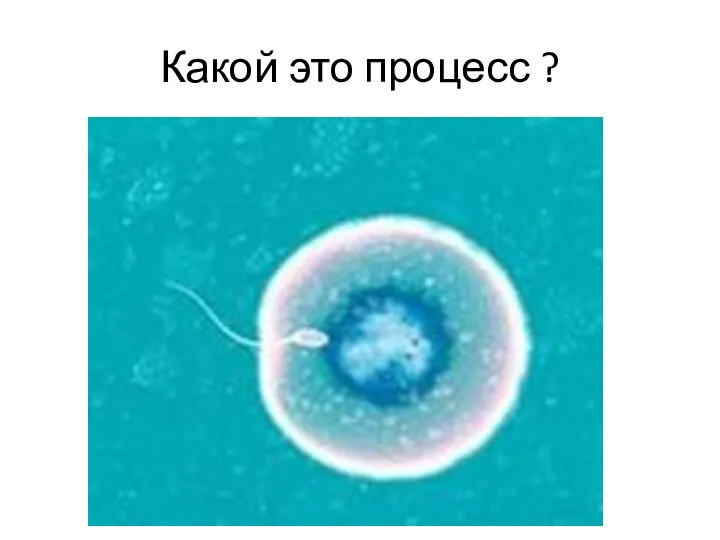 Какой это процесс ?