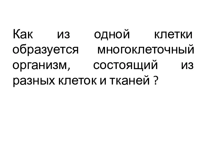 Как из одной клетки образуется многоклеточный организм, состоящий из разных клеток и тканей ?