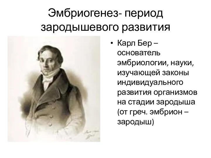 Эмбриогенез- период зародышевого развития Карл Бер – основатель эмбриологии, науки,