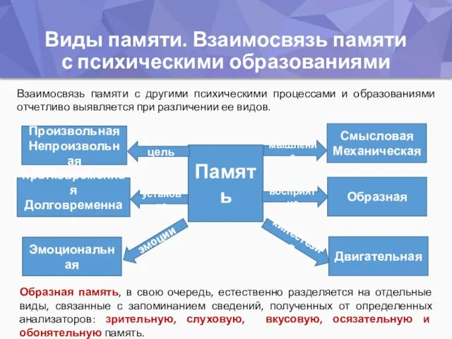 Виды памяти. Взаимосвязь памяти с психическими образованиями Память Взаимосвязь памяти