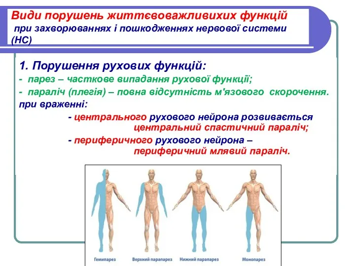 Види порушень життєвоважливихих функцій при захворюваннях і пошкодженнях нервової системи