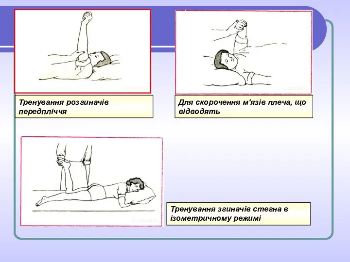 Тренування розгиначів передпліччя Для скорочення м'язів плеча, що відводять Тренування згиначів стегна в ізометричному режимі