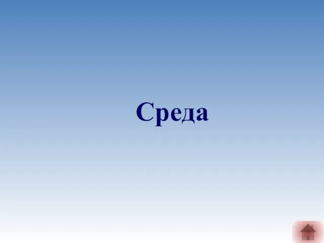 Среда