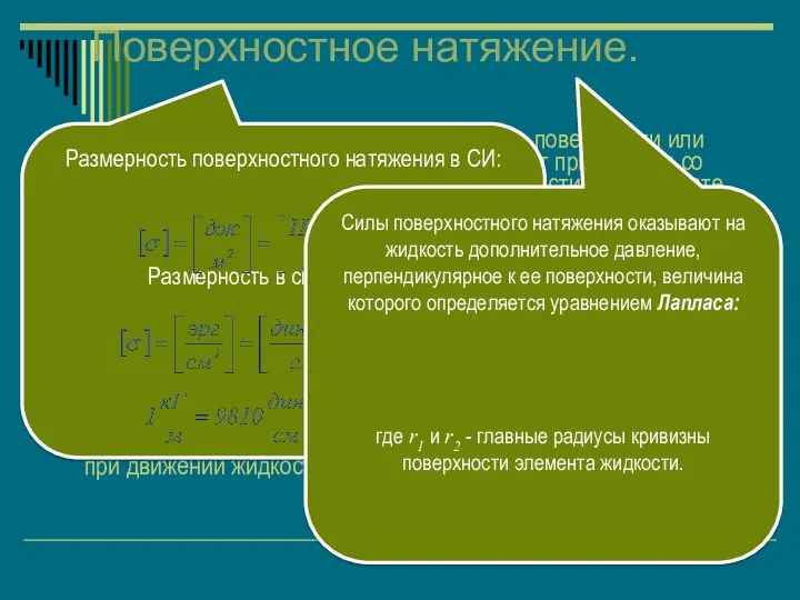 Поверхностное натяжение. Молекулы жидкости, расположенные на ее поверхности или непосредственно