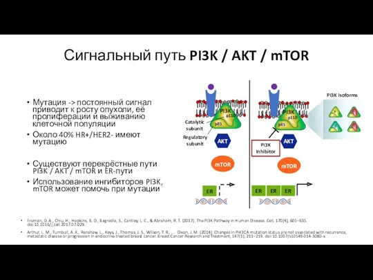 Сигнальный путь PI3K / AKT / mTOR Fruman, D. A.,