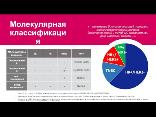 Молекулярная классификация HR+/HER2- TNBC HR+/HER2+ «…понимание биологии опухолей позволит максимально