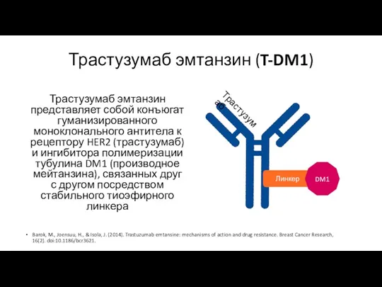 Трастузумаб эмтанзин (T-DM1) Трастузумаб эмтанзин представляет собой конъюгат гуманизированного моноклонального