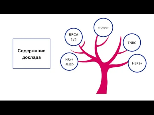 «Future» BRCA 1/2 TNBC HER2+ HR+/HER2- Содержание доклада