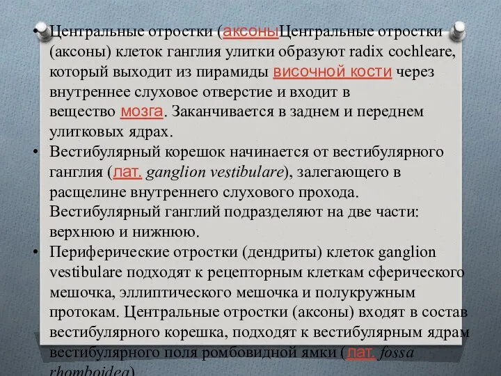 Центральные отростки (аксоныЦентральные отростки (аксоны) клеток ганглия улитки образуют radix