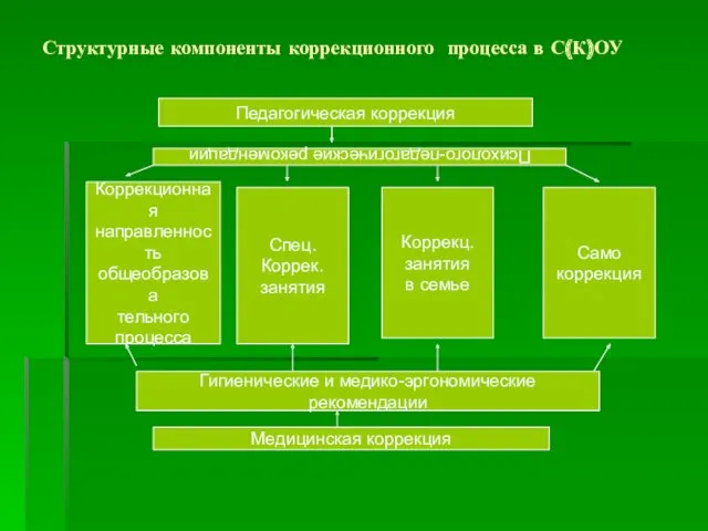 Структурные компоненты коррекционного процесса в С(К)ОУ Педагогическая коррекция Психолого-педагогические рекомендации