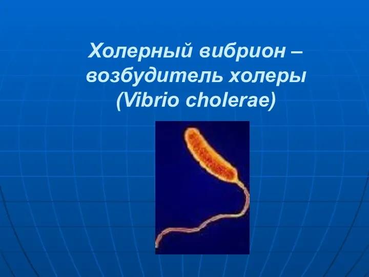 Холерный вибрион – возбудитель холеры (Vibrio cholerae)
