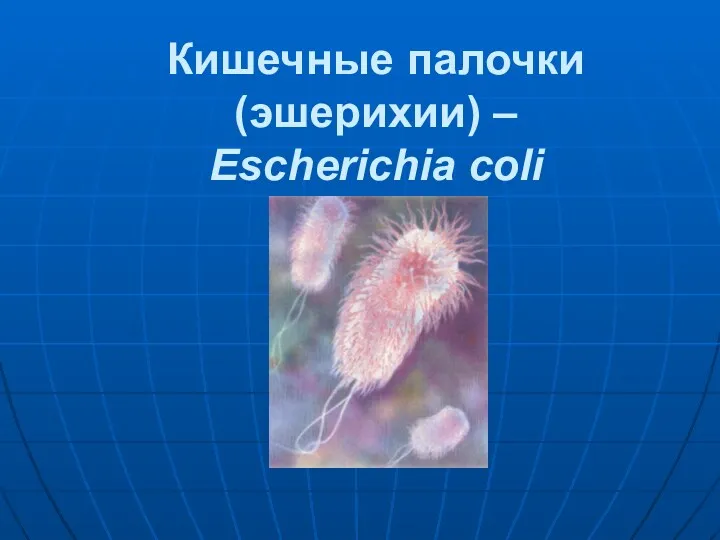 Кишечные палочки (эшерихии) – Escherichia coli