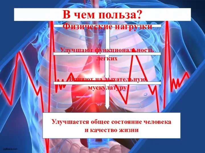 В чем польза? Физические нагрузки Улучшают функциональность легких Влияют на