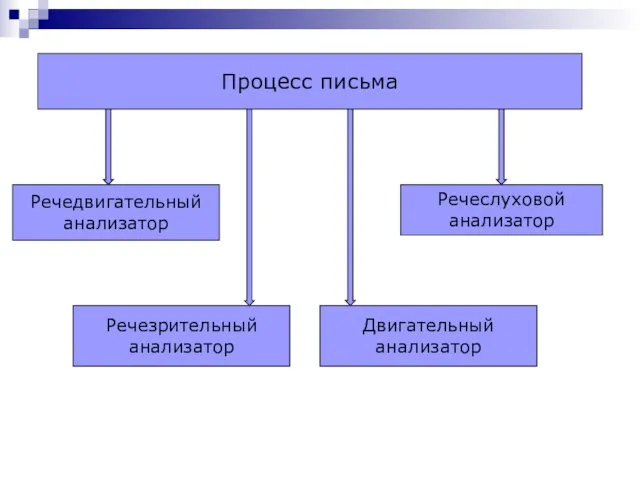 Процесс письма Речедвигательный анализатор Речезрительный анализатор Речеслуховой анализатор Двигательный анализатор