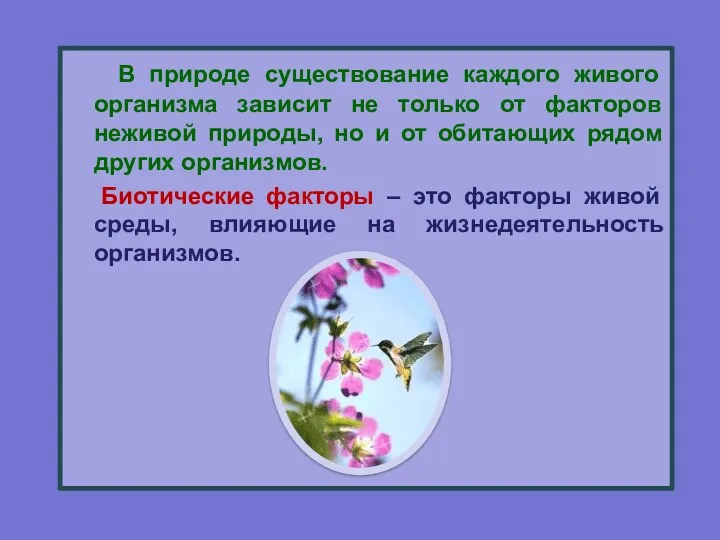 В природе существование каждого живого организма зависит не только от