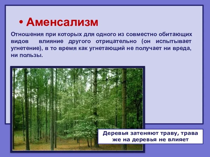 Аменсализм Отношения при которых для одного из совместно обитающих видов